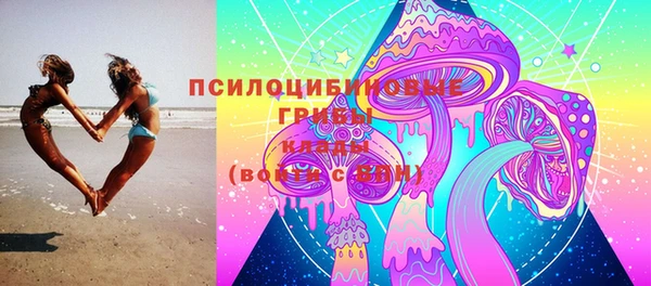 эйфоретик Богородицк