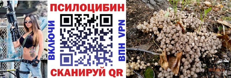 Купить закладки  Сосногорск  Галлюциногенные грибы мицелий 